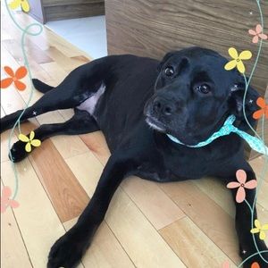 Meet your Posher, Eva